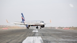 Напавший на бортпроводника пассажир рейса Москва — Минводы стал фигурантом уголовного дела 