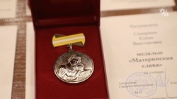 В Андроповском округе ещё двоих женщин наградили медалями «Материнская слава»