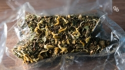 Полкило наркотиков нашли в подвале многоэтажки в Ставрополе