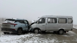 Пассажиры «Газели» пострадали в аварии из-за новичка за рулём на Ставрополье