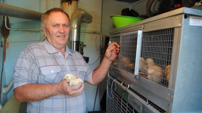 Соцконтракт помог семье из ставропольского села расширить подсобное хозяйство