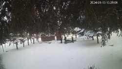 Дети забросали снежками Вечный огонь в Изобильненском округе