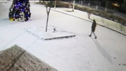 Уголовное дело возбудили в отношении похитителя Деда Мороза в Предгорном округе