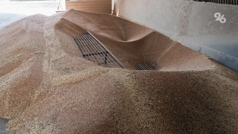 Более 380 тыс. тонн ставропольской пшеницы и масличных культур отправили в соседние регионы