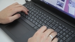 Популярные на Ставрополье ноутбуки за год подешевели на 16%