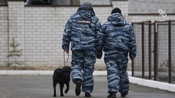 Безопасность на праздновании Пасхи и 9 Мая на Ставрополье обеспечат спецслужбы