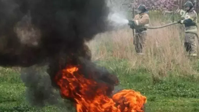 Два крупных лесных пожара произошли на Ставрополье в 2025 году