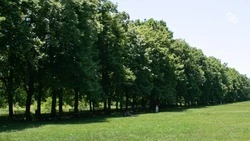 Новую экотропу возле Ставрополя откроют в 2027 году