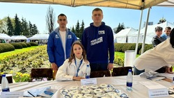 Ярмарка трудоустройства «Работа России» состоялась в Ставрополе