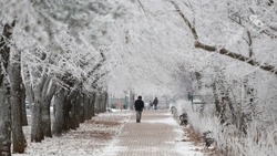 Мокрый снег с дождём ожидаются в выходные на Ставрополье 