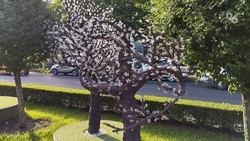 На диагностику светодиодных деревьев в Ставрополе направят 1,3 млн рублей 