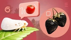 ИИ-клубника и белая цикадка: чего опасаться ставропольцам в новом дачном сезоне