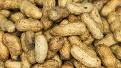 Экспорт арахиса со Ставрополья в Армению увеличился в 240 раз