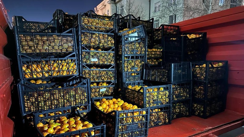 Около 1,5 тонны мандаринов отправили из Пятигорска казакам в зону СВО