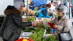 Почти полтысячи ярмарочных площадок работают на Ставрополье