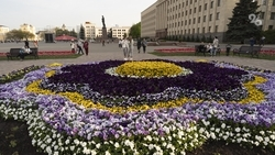 В Ставрополе наградили победителей фестиваля цветников