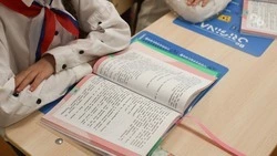 Шахматы повышают успеваемость школьников — российский невролог 