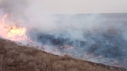 Пожарные потушили 100 кв. м сухой травы в Арзгирском округе