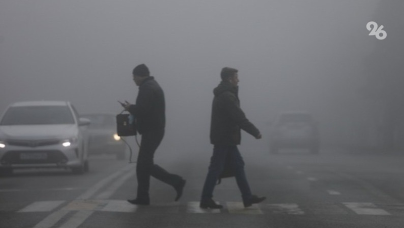 Туман осложняет движение на дорогах в Курском и Грачёвском округах