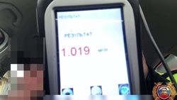 1,019 промилле обнаружили в крови автомобилистки из Будённовска