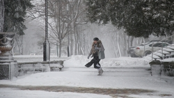Экстренные службы перешли в режим повышенной готовности из-за ветра в Ставрополе 
