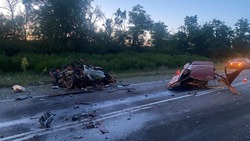 Водитель-лихач спровоцировал смертельную аварию в Александровском округе