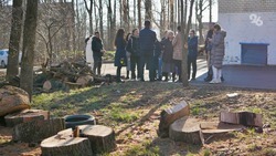 Представитель Общественной палаты Ставрополья предложил проверить работу подрядчика при вырубке деревьев в «Дубовой роще»