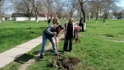 Почти 160 тыс. деревьев посадили на Ставрополье благодаря акции «Сад памяти»