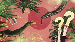 Что вы знаете о змеях Ставрополья — тест