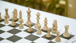 Страйкбольный клуб и шахматную школу открыли по соцконтракту на Ставрополье