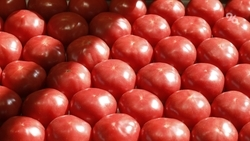 Две ярмарки пройдут в Ставрополе 20 июля