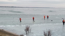 Ставропольские спасатели выловили 3 тыс. мёртвых птиц при очистке Дундинского водохранилища