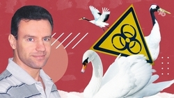 «Восстановление может занять больше года»: как массовая гибель птиц на Ставрополье повлияет на экосистему