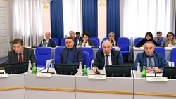 Депутаты Ставрополья работают над изменениями в краевой бюджет