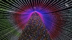 Главная ёлка Ставропольского края засияла огнями под новым шатром