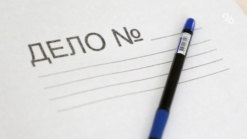 Депутат попросила Бастрыкина защитить детей, пострадавших от собак Ессентуках