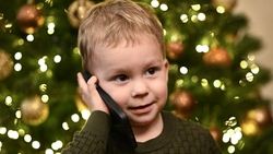 Российская горячая линия Деда Мороза будет принимать звонки до 31 декабря