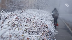 В начале недели на Ставрополье ожидается снег и ветер