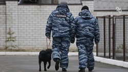 В Кисловодске усилили меры безопасности на социально значимых объектах