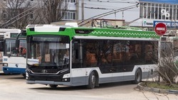 Ситуацию с вечерним движением троллейбусов в Ставрополе прокомментировал минтранс региона