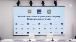 Нюансы разведения альпак обсудят в пресс-центре ТАСС в Ставрополе 23 апреля