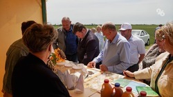 Минсельхоз Ставрополья проработает меры защиты урожая с учёными