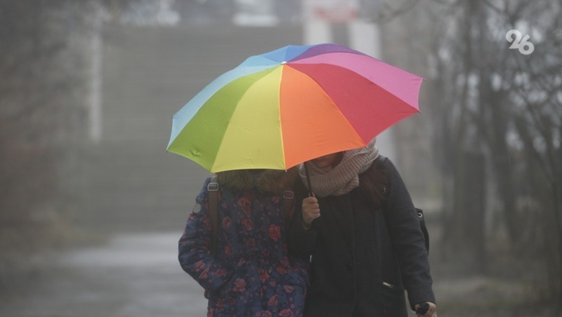 Дождливая и туманная погода ожидается на Ставрополье в конце рабочей недели