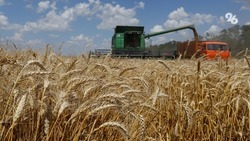 Более 50 миллиардов рублей льготных кредитов одобрили аграриям Ставрополья