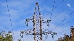 Энергетики выиграли суд об установке ЛЭП на 55 млн руб. у ставропольского фермера