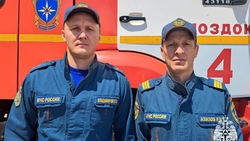 Сотрудники МЧС спасли тонувшую в Тереке 72-летнюю пенсионерку из Северной Осетии