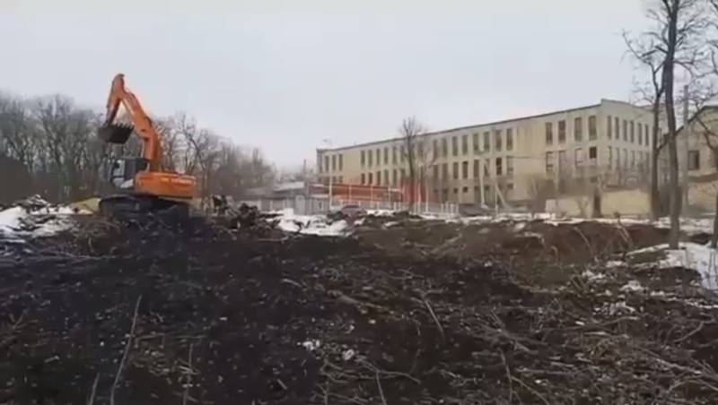 В администрации Ставрополя опровергли вырубку деревьев в урочище Мутнянка 