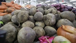 Свёкла подорожала на 14% на Ставрополье за первую неделю июля