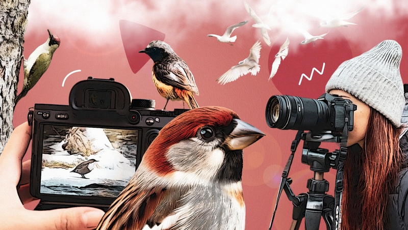 Оляпка в монокуляре: за кем следят бёрдвотчеры на Ставрополье