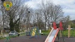 По факту травмирования ребёнка на площадке в Пятигорске возбудили дело